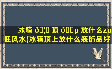冰箱 🦅 顶 🌵 放什么zui
旺风水(冰箱顶上放什么装饰品好看)